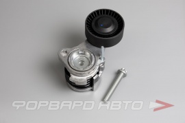 CARBERRY  55CA312 Натяжитель приводного ремня N1788S;55066;MPQ0637;11287530314;11288624196;55CA312;APV2529;28708;T39112;534025210;PT3009;AG00309;0N1788;VKM38250;GA350.57;TFD1364; 208641