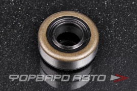 TCS  F01162 Сальник высокого давления 9*19*7 1PMA P13794 130869