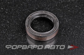 VAG  0AM301733L Сальник 20,5*28*7 0AM301733L 0AM301733K 92796