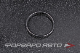 NOK  OR02.00_029.00 Кольцо уплотнительное маслостойкое 29*2  28993