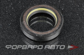 TCS  F00698X Сальник высокого давления 27*40*8,5 7V1 P03550 XP0349E0 90101899 HAZ0703CS HA0703 F00821 410N10067Z 46224