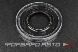 ISUZU  1096254440 Сальник 78*163*16  13073