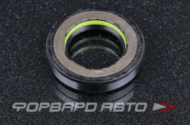 TCS  F00475 Сальник высокого давления 26*43*8,5 7V1 P08869 HAZ0653CS HAZ0653GQ HA0653 410N10056Z F00542M 82029727 1029727 01029727B HAZ1233CS HA1233 410N10751Z AGS00475 29416N APU01148XXX 26*43 1*8 5 37143