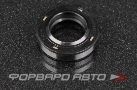 NOK  BPS1439A Сальник высокого давления 19*32*7/8 9031119002 9031119006 9031119013 9031119016 AP8096G0 AP8096E0 AP8906E0 AP8906F0 BPS1439A0 19016677B 162.280 90100179 HAZ0264CS HAZ0264GQ HA0264 F00187 F01052 410N10117Z T1154 SO0834 NAP0183A 05119