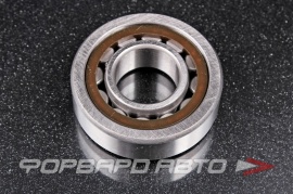 СПЗ  42204 Подшипник 20*47*14 6642204АЕМШ1 NJ204 160129