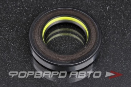 TCS  F00750 Сальник высокого давления 28*46*8,5 7V1 P12470 90100735 HA0690 HAZ0690 410N10285Z 28*46 2*9 67069