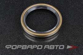 NOK  BDD247A Сальник 50*62*7 (б/н) мет. BDD247A0 06.56279.0046 01002933B 12006467B P16039 102011N 5105932 153326217 115715 03214940 5122548 83944350 30401600 101899