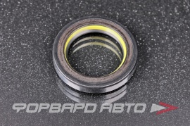 TCS  F00587XX Сальник высокого давления 30*43*7 7V1  67013