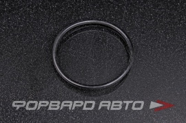 NOK  OR02.50_044.20 Кольцо уплотнительное маслостойкое 44*2,5 N90062701 N90062701 2V3103196 N90062702 N90062702 81.965030537 2440210052 3090126 16081500 17283581 SU00302191 23400018 HR0432 HR0432C O02858 432N10112Z O04021 A01189 RR325 APU00 29089