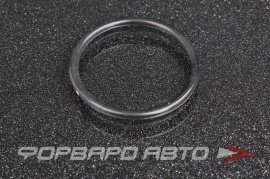 TOYOTA  9030132012 Кольцо фильтра КПП RINGOL024PCS10 RR0272 38239