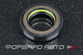 TCS  F01092M Сальник высокого давления 24*39*8,5 7V1 P07639 HAZ0965CS HA0965 F01092 410N10391Z HAZ0652CS HA0652 F00474 F00474M 410N10242Z 24*39*9 46221