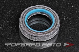 NOK  BP1481E Сальник высокого давления 25,5*39*8,5 HAZ0860CS HA0860 F00252 F00252A BP1481E0 9031125008 87402