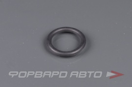 TOYOTA  293430N010 Кольцо уплотнительное  179701
