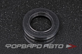 TCS  F00484X Сальник высокого давления 18,5*29*4,5/5 1РМ P12867 HA0316RA HAZ0316RA 60571