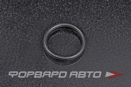 NOK  OR02.50_020.00 Кольцо уплотнительное маслостойкое 20*2,5 9672224020 RS0059 9672324020 9676124020 29051