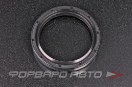 NQK  55*70*10TC Сальник 55*70*10 (TC)  145853