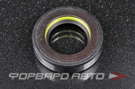 TCS  F00402 Сальник высокого давления 23*38*9 7V1 P07176 HAZ0897CS HA0897 410N10336Z 66937