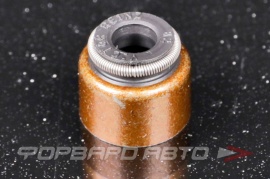 VICTOR REINZ  705406200 Колпачок маслосъемный 9091302092 9091302093 9004812021 MV759 705406200 BV4710E0 12015300 705309300 12015400 BV4710F0 091.180 MV143 AVF200012 EV0029 EV0030 125312902 194035