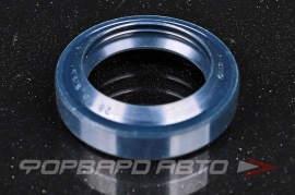 CHO  06181N20 Сальник 28*40*8/8.5 б/н  66568