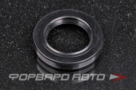 TCS  F00484 Сальник высокого давления 19*29*4,5/5 1PM P08962 90100474 HAZ0316CS HA0316 410N10018Z 67074