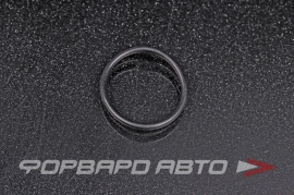 NOK  OR02.00_024.00 Кольцо уплотнительное маслостойкое 24*2 33242 B2259 HR0357 HR0357C 06.563311256 O02762 432N10175Z A00757 APU00110XXX 24*28*2 24x28x2 28986