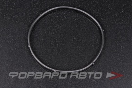 MAZDA  PE0112257 Кольцо уплотнительное муфты газораспределения  134689