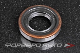 NOK  AP8916E Сальник высокого давления 24*43*8,6 9031124001 AP8916E0 90100091 HAZ0460 HA0460 F00099 435N10089Z 87397