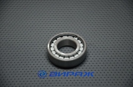 ГПЗ  102205 Подшипник 25*52*15 N205W 65756