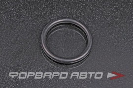 NOK  OR04.00_032.00 Кольцо уплотнительное маслостойкое 32*4 N90765301 4884873AA 2546221000 2546221010 328.210 29239