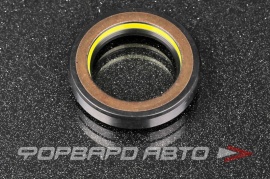 TCS  F01069 Сальник высокого давления 29*42*8,5 7V1 P08890 HAZ0752CS HA0752 410N10231Z HAZ0750CS HA0750 F01066 AGS01069 20550ST SL01069 31841N PSTF01069 PSTF01069T 29*42*9 53930