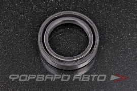 TTO  D017 Сальник 28*40*8 DC две пружины P01880 0169979347 164943