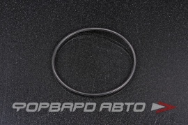 NOK  OR02.50_067.00 Кольцо уплотнительное маслостойкое 67*2,5 9321065M50 9321065M5000 30F06.00.04.08 60F01.04.04.04 T3017057 F2504070003 T6005020205 A50233 67*72*2 5 67x72x2 5 29132