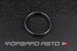 HONDA  91326PL5003 Кольцо уплотнительное 91326PL5000 91308P3RT01 16505000 RRH387 CO5338H0 JF46925 42827