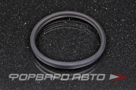TOYOTA  1632562010 Прокладка термостата (56мм) 163250H020 02420