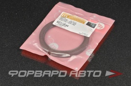 ITE  IOR090090IA0 Сальник 80*100*10 (LH) (M=VITON) 12279V1700 12279T7202 9031180010 19026794B 14659V AH3732P0 01010016 15035900 122792B501 122795PA0A 21081005160 0514.50 051450 0069121 100CP4719 1291094 1450114 93194877 81.96583.0139 81.965 46892