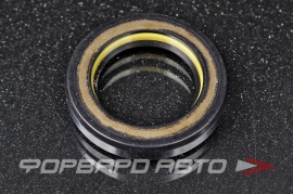 TCS  F01175 Сальник высокого давления 25*37,8*6,5 7V1 P09852 NH1509X HAZ0969 410N10224Z HA0969 63321