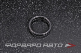 NOK  OR02.00_017.00 Кольцо уплотнительное маслостойкое 17*2 N90715601 N90783301 V10639083 407679800 28979