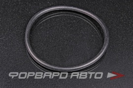 NOK  OR06.00_100.00 Кольцо уплотнительное маслостойкое 100*6 7800240124 100*112*6 1001126 0 100x112x6 47249