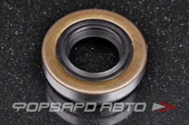 TCS  F00597 Сальник высокого давления 15*28*6,3 (б/н) мет. 1РМA P01997 01026329B 7611033105 HAZ0477 HA0477 435N10013Z 66840