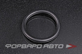 NOK  OR05.00_039.00 Кольцо уплотнительное маслостойкое 39*5 11658571304 21087699 076.553.005 076.553.100 2430117 03904950 39*49*5 39x49x5 29290