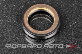 TCS  F00961 Сальник высокого давления 28*42*8,5 7V1 P08886 HAZ0733CS HA0733 HA1589 HAZ1589 AGS00961 SL00961 PSTF00961 28*42*9 53937