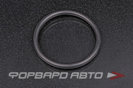 NOK  OR05.00_060.00 Кольцо уплотнительное маслостойкое 60*5  74795