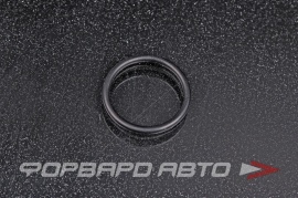 NOK  OR02.00_019.00 Кольцо уплотнительное маслостойкое 19*2 806918080 22650AA192 22650AA240 28981