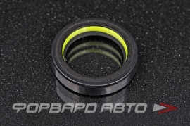 TCS  F00026X Сальник высокого давления 27,5*38*8 7V1 P08882 M1974 67011