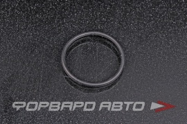 NOK  OR02.00_028.00 Кольцо уплотнительное маслостойкое 28*2 PE0120ZF1 28991