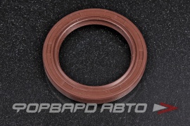 VICTOR REINZ  813387100 Сальник 38*52*6 A2109970040 24217580322 24217518705 9942169 1004301 1004302 1077686 1471482 1E1110602 1E1110602A C40110231 30711647 31216283 481274 15510080B 144692