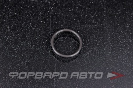 VAG  WHT000884 Кольцо уплотнительное 103836 30103836 OR01.50_016.00 215755