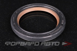 CORTECO  20034739B Сальник 55*72*8 079103051G 813602600 113213015 173.890 20034739 185308