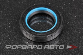 TOYOTA  9031030010 Сальник высокого давления 30*45,5*8,5 BP4232E0 HA0876 F00272 410N10837Z 10844