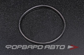 NOK  OR02.50_075.00 Кольцо уплотнительное маслостойкое 75*2,5  29098